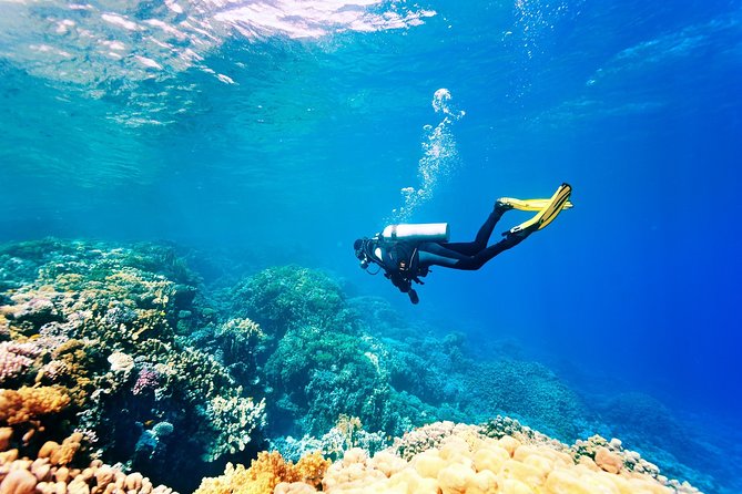 Alanya Scuba Diving with Hotel Transfer incl. Lunch - Choosing between an easy site and a more ambitious one