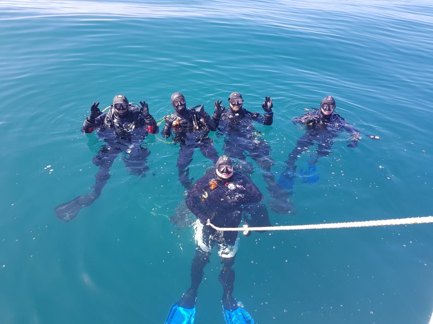 Albufeira: 2 DIVES TRIP (ONLY CERTIFIED DIVERS) - From Albufeira Marina to the first reef