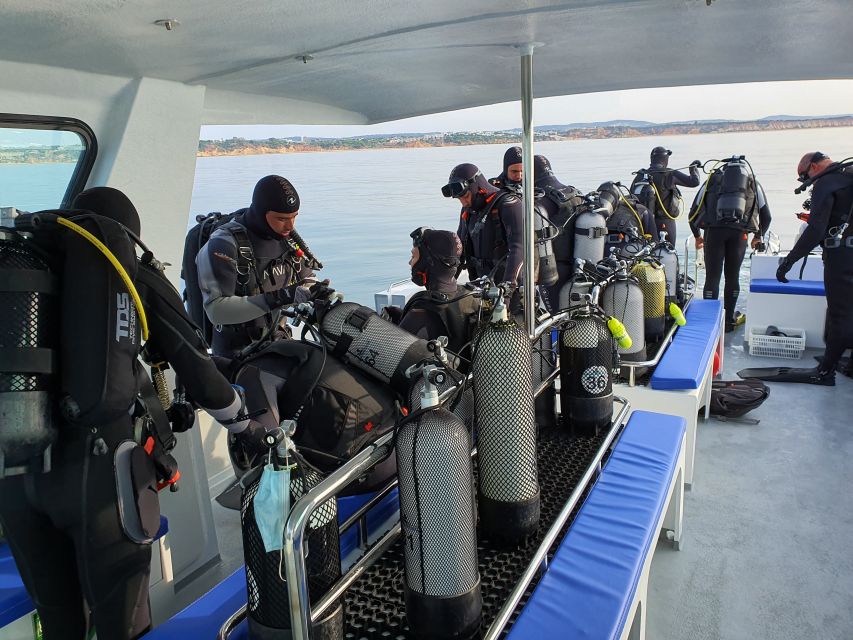 Albufeira: 2 DIVES TRIP (ONLY CERTIFIED DIVERS) - Marine life worth looking for