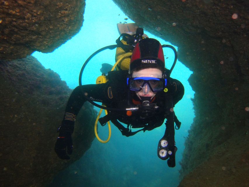 Albufeira: 2 DIVES TRIP (ONLY CERTIFIED DIVERS) - Booking advice and final value