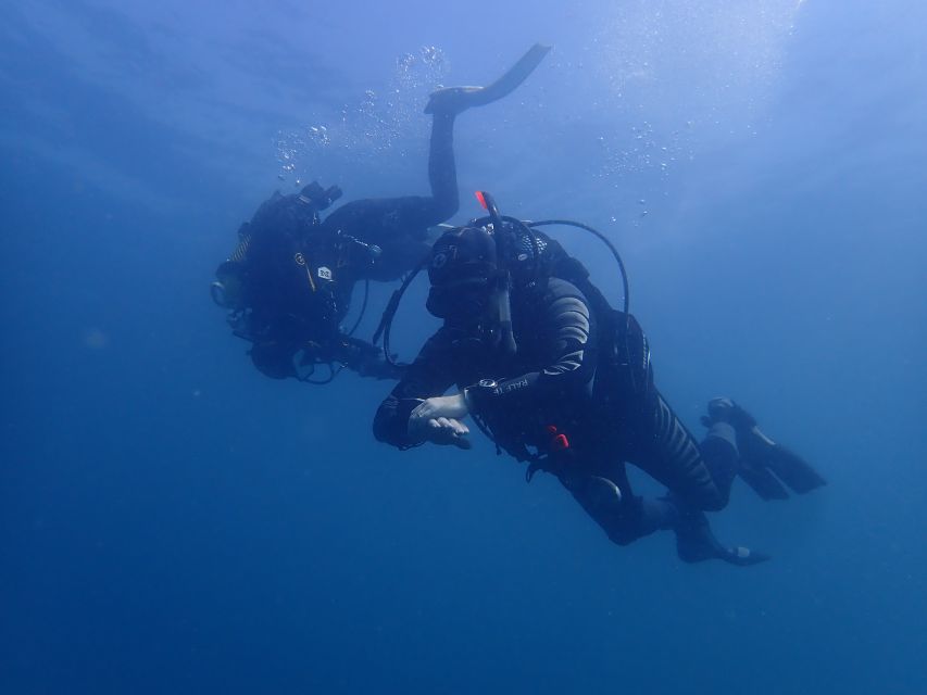 Albufeira: 2 DIVES TRIP (ONLY CERTIFIED DIVERS) - What the $108 price really covers