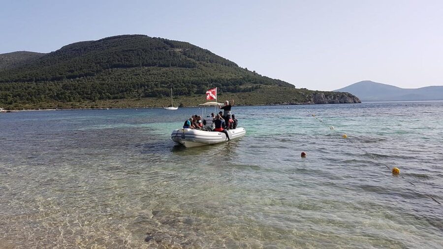 Alghero: discovery diving lesson for beginners - Safety, instruction, and the small-group advantage