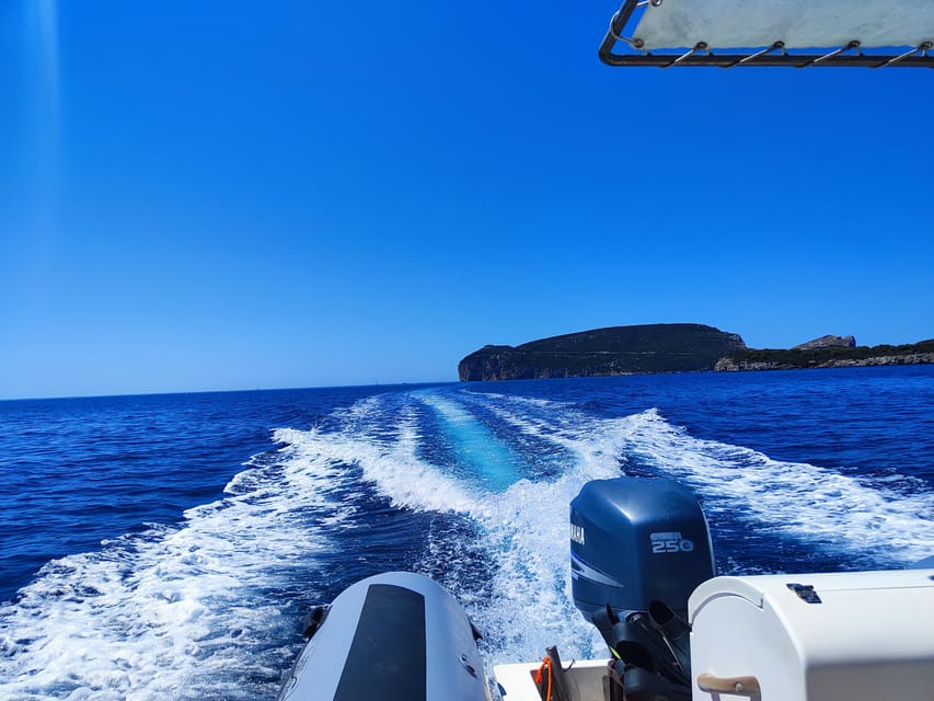 Alghero: Diving Experience - Why Beginners May Feel at Ease