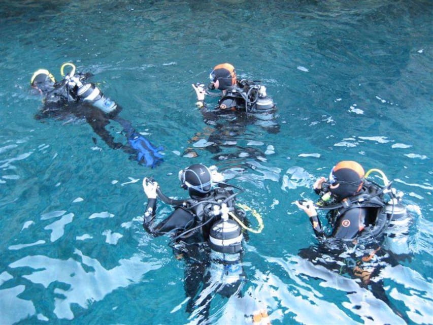 Alghero: diving for professionals at Capo Caccia - Is this Capo Caccia outing worth booking?