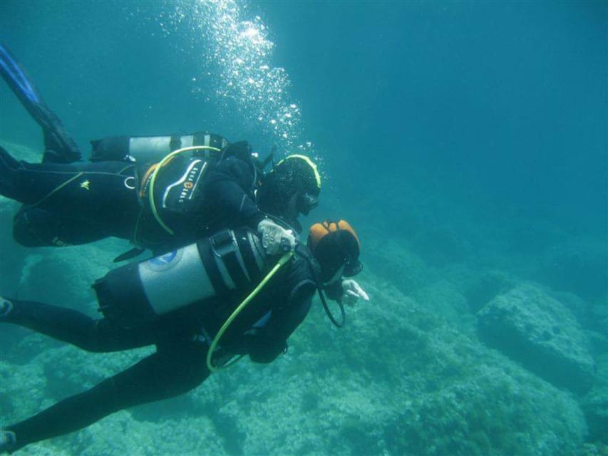 Alghero: diving for professionals at Capo Caccia - Starting at Bay of Tramariglio