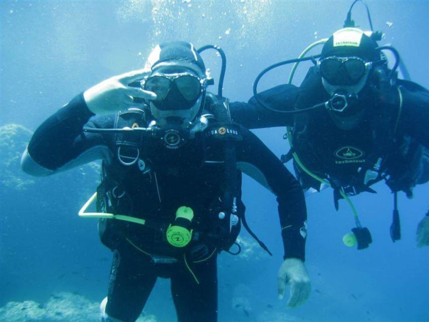 Alghero: diving for professionals at Capo Caccia - Why the guide matters here