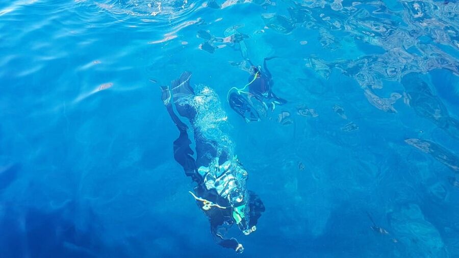 Alghero: diving for professionals at Capo Caccia - Timing, equipment, and useful preparation