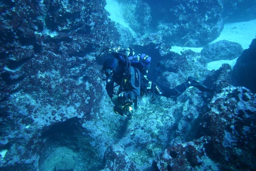 Alghero: diving for professionals at Capo Caccia - A short ride into Capo Caccia waters
