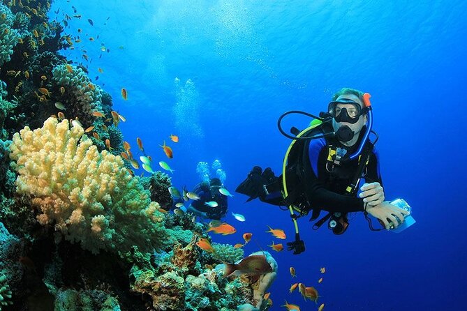 All in One intro Diving & Snorkeling & Water Sport -Hurghada - Key Points at a Glance