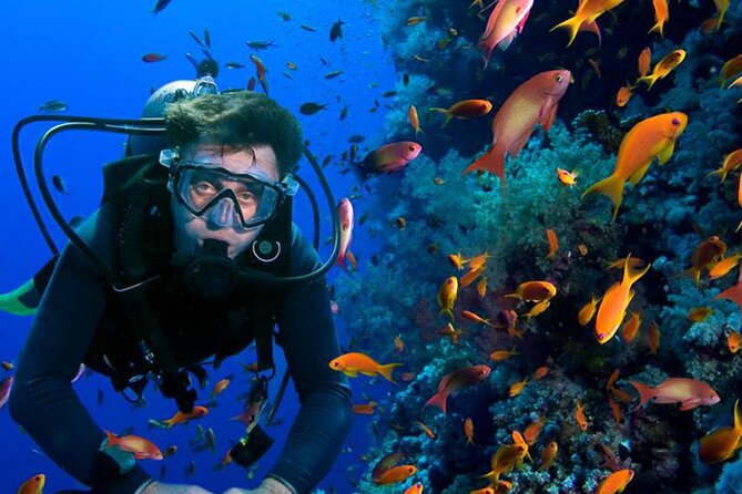 All in One intro Diving & Snorkeling & Water Sport -Hurghada - Setting Out on the Red Sea