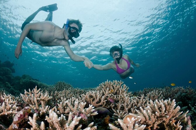 All Inclusive Bali Scuba Diving at Tulamben with Lunch -Transport - Key points to know before you book