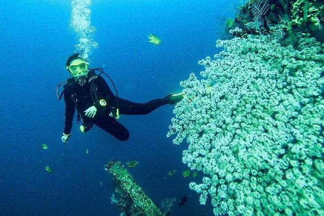 All Inclusive Bali Scuba Diving at Tulamben with Lunch -Transport - Practical details that affect the day