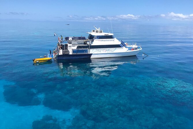 All Inclusive Great Barrier Reef Cruise w optional Scuba Diving - Key points to know before booking