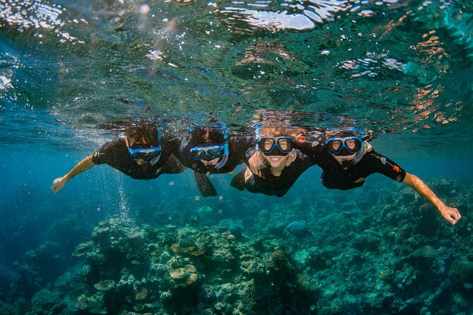 All Inclusive Great Barrier Reef Cruise w optional Scuba Diving - Lunch onboard, then a second reef site