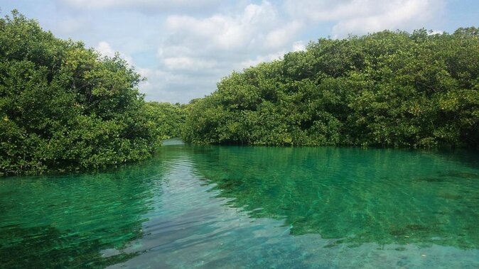 Amazing beginner dive in Tulum cenote (or refresher dive) - Key points to know before booking