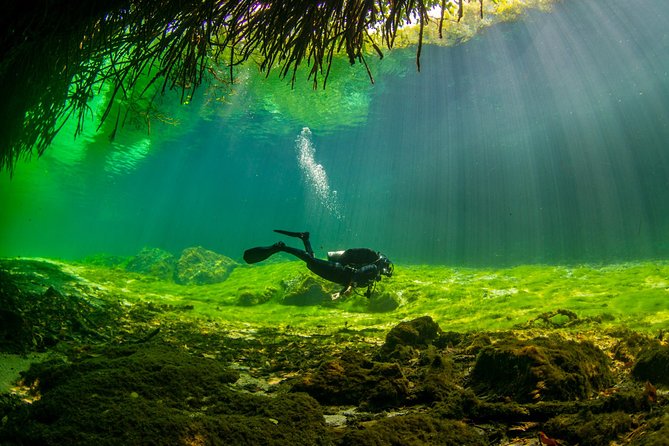 Amazing beginner dive in Tulum cenote (or refresher dive) - Learning the skills before entering Casa Cenote