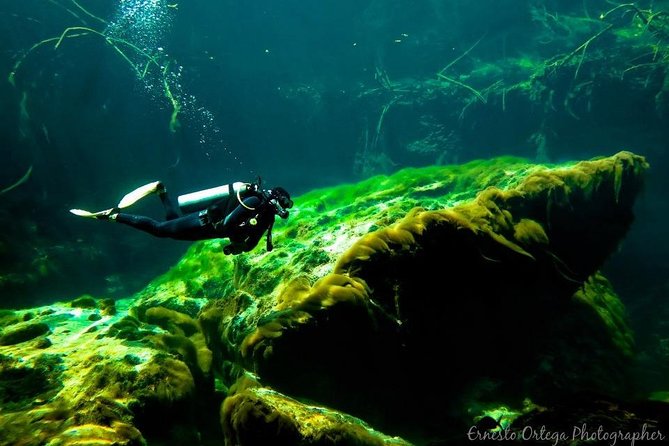 Amazing beginner dive in Tulum cenote (or refresher dive) - What makes Casa Cenote special