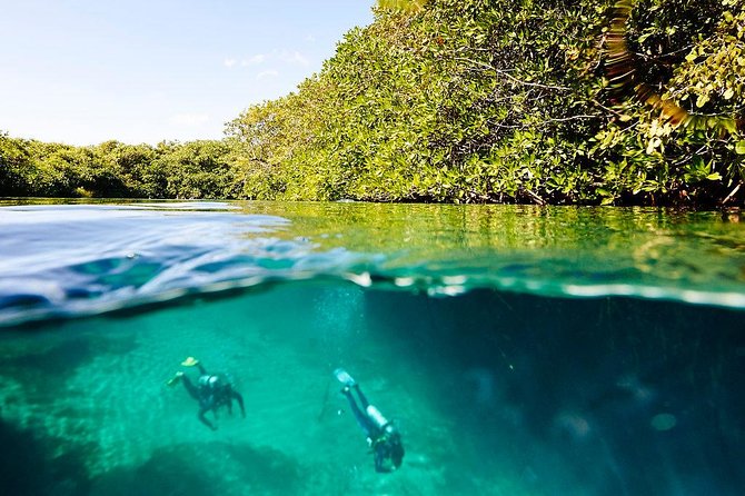 Amazing beginner dive in Tulum cenote (or refresher dive) - What to bring and how to plan the morning