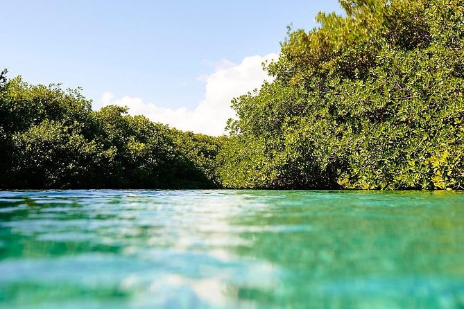 Amazing beginner dive in Tulum cenote (or refresher dive) - Who will enjoy this Tulum scuba session