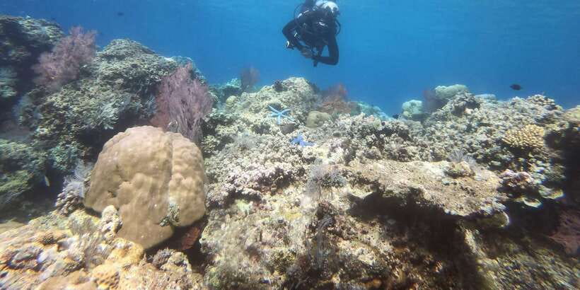 Amed: Guided Scuba Dive for Beginners/Non Certified divers - Getting comfortable with the equipment
