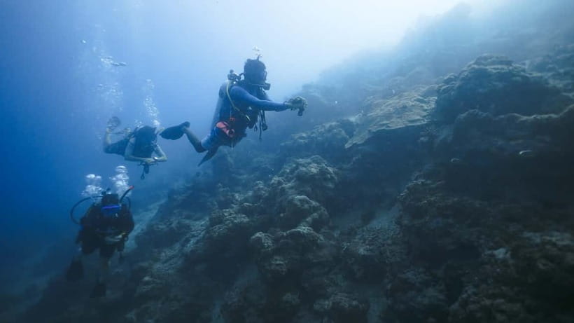 Andaman: Havelock Scuba Diving by PADI 5-Star Dive Center - Key points at a glance