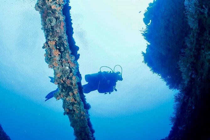 Anguilla Based: 2-Tank Group Dive Experience for Certified Divers - Small groups and the value of a real guide