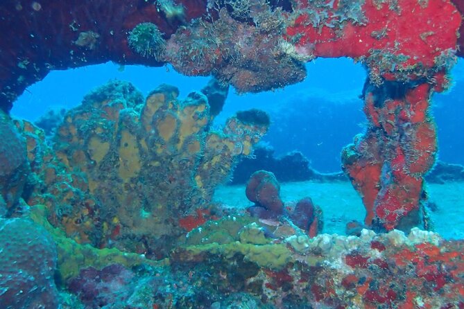 Anguilla Based: 2-Tank Group Dive Experience for Certified Divers - A two-tank morning built around conditions