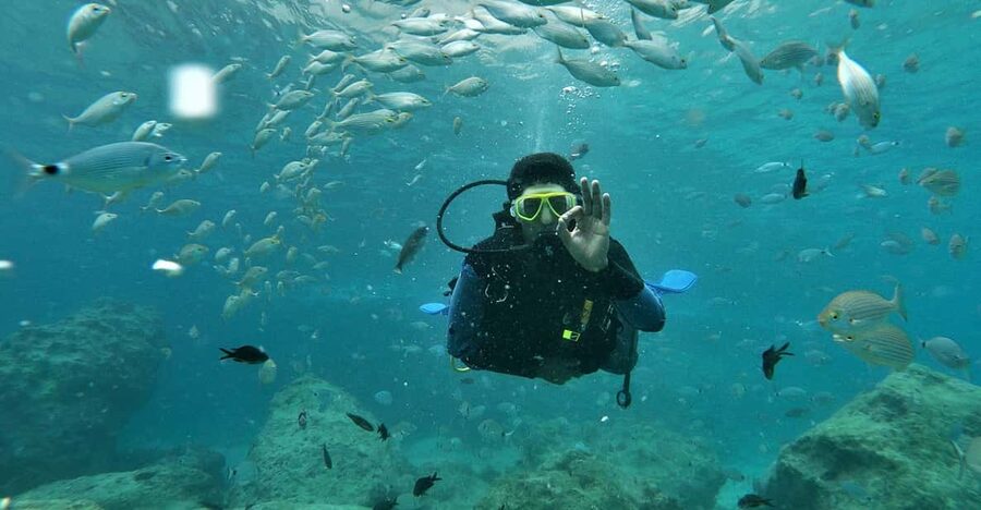Antalya and Kemer: Full Day Scuba Diving Tour with Lunch - What your $27 buys on the Antalya coast