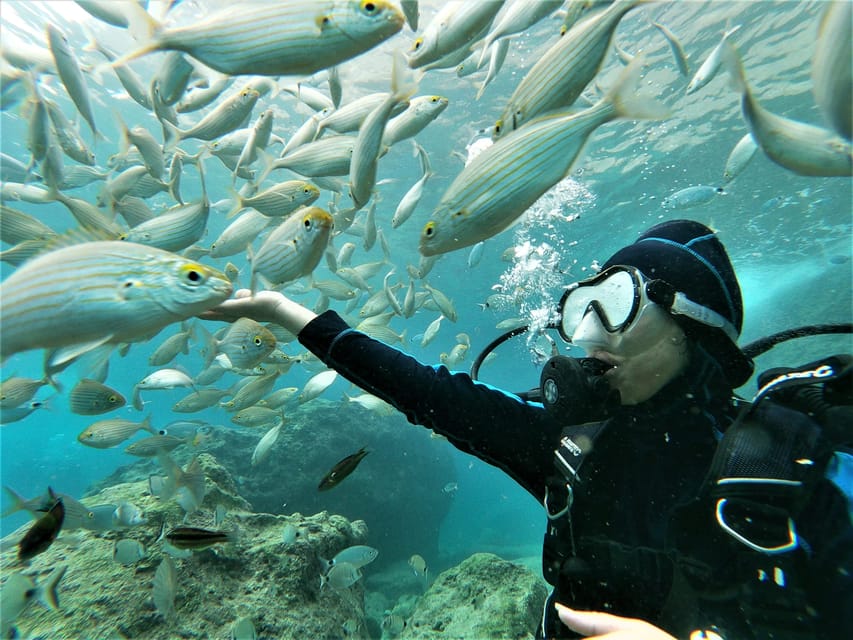 Antalya and Kemer: Full Day Scuba Diving Tour with Lunch - Safety instruction before the first descent
