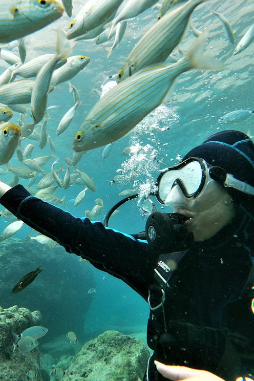 Antalya and Kemer: Full Day Scuba Diving Tour with Lunch - The first underwater site