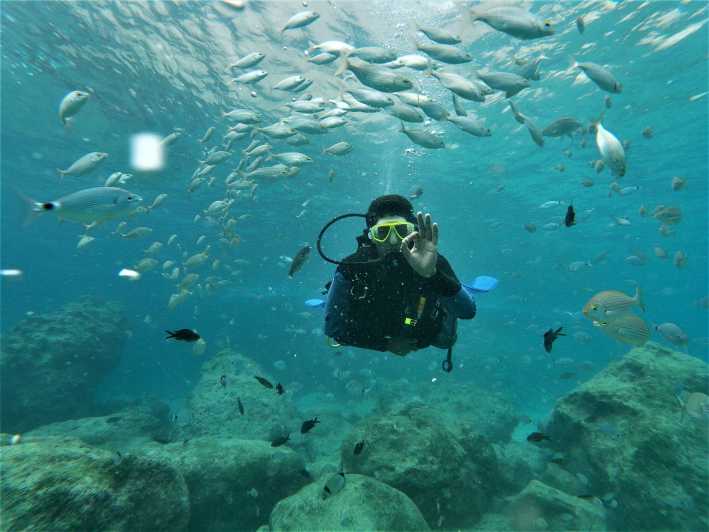 Antalya and Kemer: Full Day Scuba Diving Tour with Lunch - Starting at Kemer G Marina