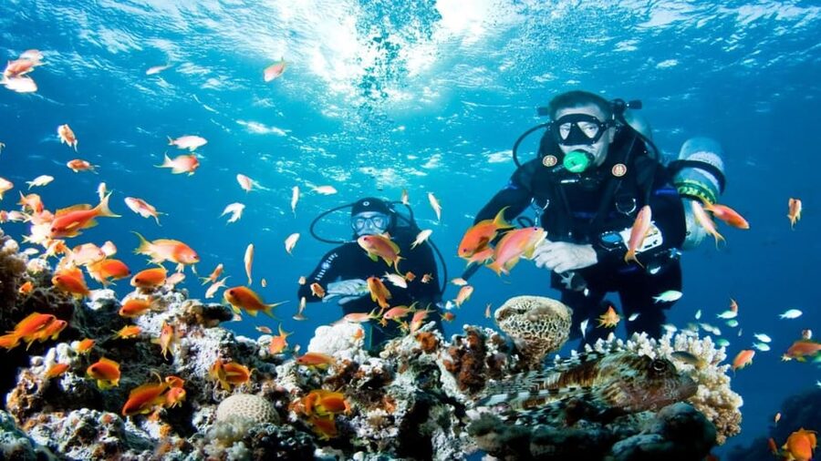 Antalya/ Belek Scuba Diving Tour With 2 Time Dive & Lunch - The Boat: Your Base Between Sessions