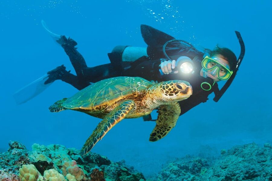 Antalya/ Belek Scuba Diving Tour With 2 Time Dive & Lunch - Lunch at Sea Before the Second Session