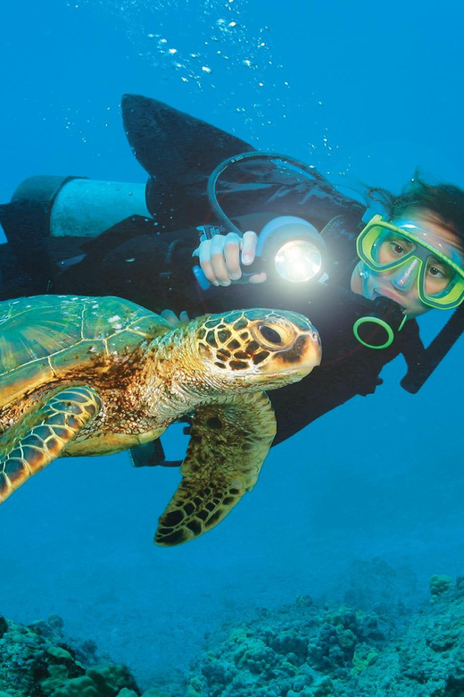 Antalya/ Belek Scuba Diving Tour With 2 Time Dive & Lunch - Hotel Pickup From Antalya and Belek