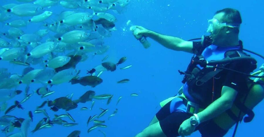 Antalya/ Kemer/ Belek Scuba Diving With Lunch & Transfer - Key points to know before booking