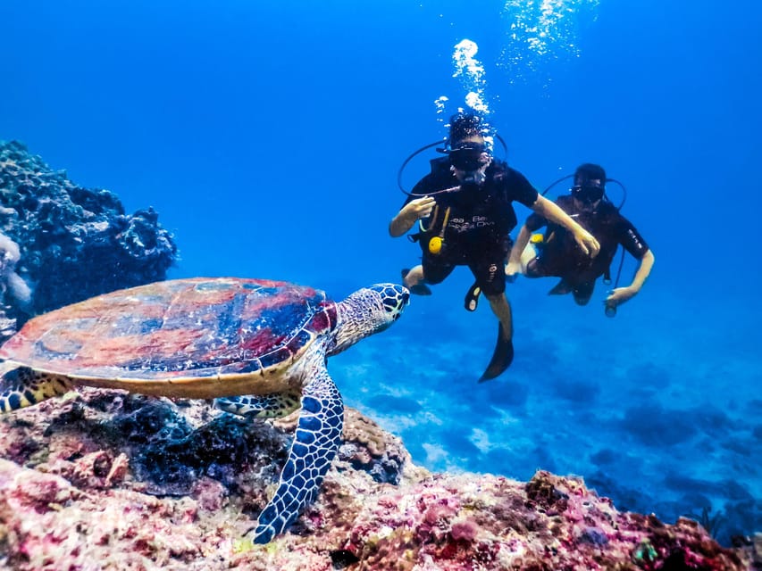 Antalya/ Kemer/ Belek Scuba Diving With Lunch & Transfer - Who will enjoy this most?