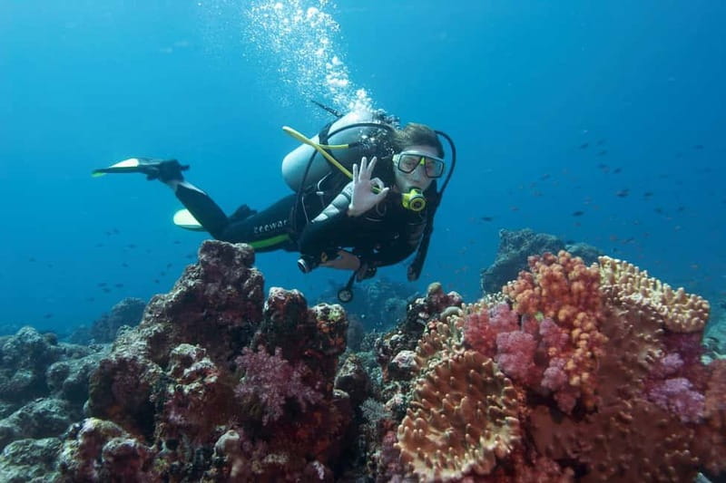 Antalya/Kemer: Scuba Diving Experience with 2 Dives & Lunch - How safe and beginner-friendly is it?