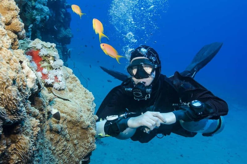 Antalya/Kemer: Scuba Diving Experience with 2 Dives & Lunch - Aquarium Bay and the first underwater session