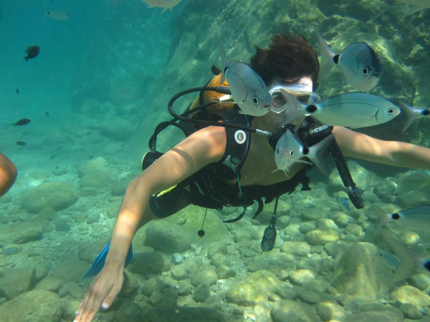 Antalya/Kemer: Scuba Diving Experience with Lunch & Pick up - Key points to know before booking