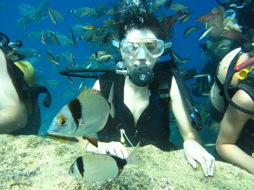 Antalya/Kemer: Scuba Diving Experience with Lunch & Pick up - What this Kemer scuba trip is really like