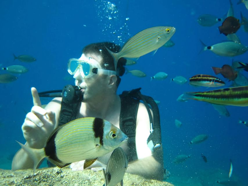 Antalya/Kemer: Scuba Diving Experience with Lunch & Pick up - Lunch and the pause between sessions
