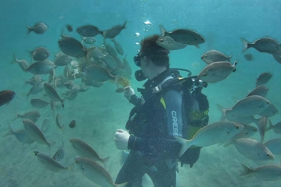 Antalya/Kemer: Scuba Diving Experience with Lunch & Pick up - Transport, group size, and the small practical flaws