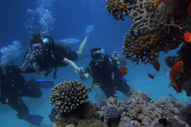Antalya/Kemer: Scuba Diving with Pickup, Lunch, and 2 Dives - Key points to know before booking