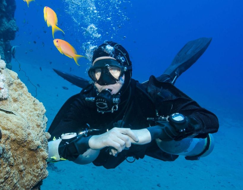 Antalya/Kemer: Scuba Diving with Pickup, Lunch, and 2 Dives - Who will enjoy this Antalya boat trip