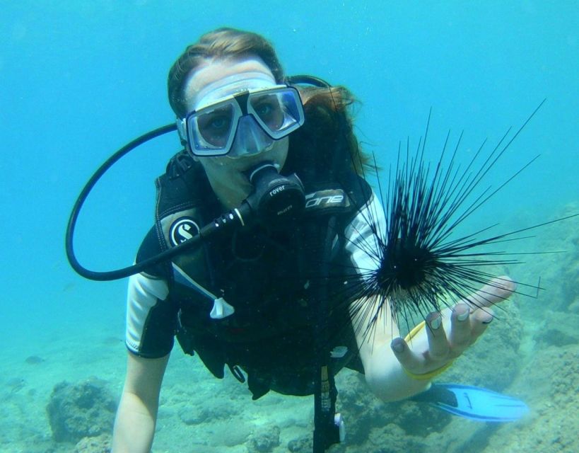 Antalya/Kemer: Scuba Diving with Pickup, Lunch, and 2 Dives - Booking advice and practical preparation
