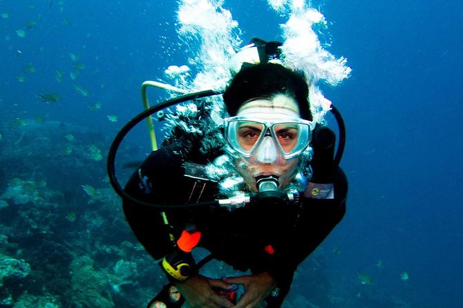 Antalya Scuba Diving at Mediterranean Sea incl. Lunch - Group size, transport, and the practical trade-offs
