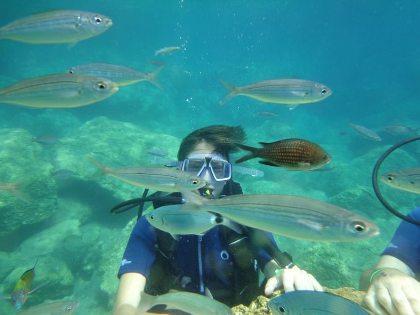 Antalya Scuba Diving Tour, With Lunch & Return Transfers - Should you book the Antalya scuba tour?