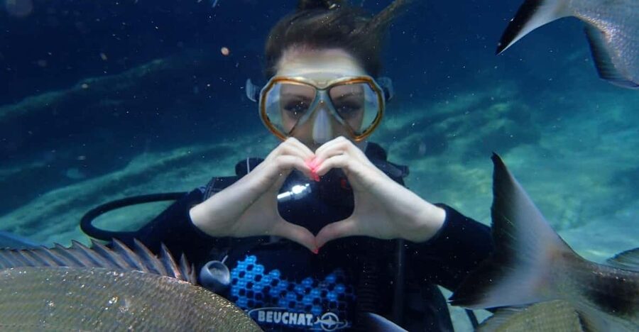 Antalya Scuba Diving Tour, With Lunch & Return Transfers - What the $38 price really covers