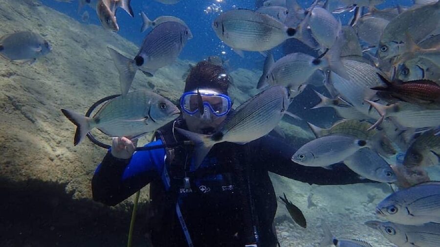 Antalya Scuba Diving Tour, With Lunch & Return Transfers - The boat atmosphere and practical comfort