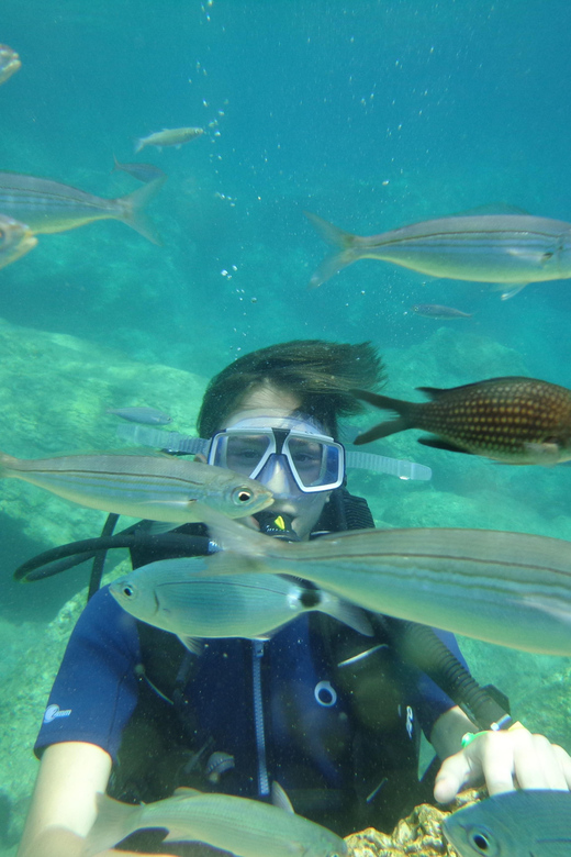 Antalya Scuba Diving Tour, With Lunch & Return Transfers - Timing, cancellation, and what to pack